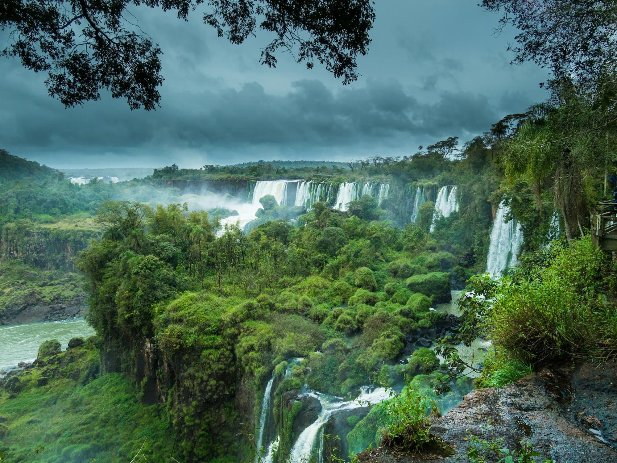 Iguazú Falls through the rainforest